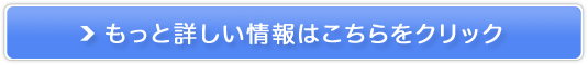 �����X�^�[�w�A�̔��T�C�g��
